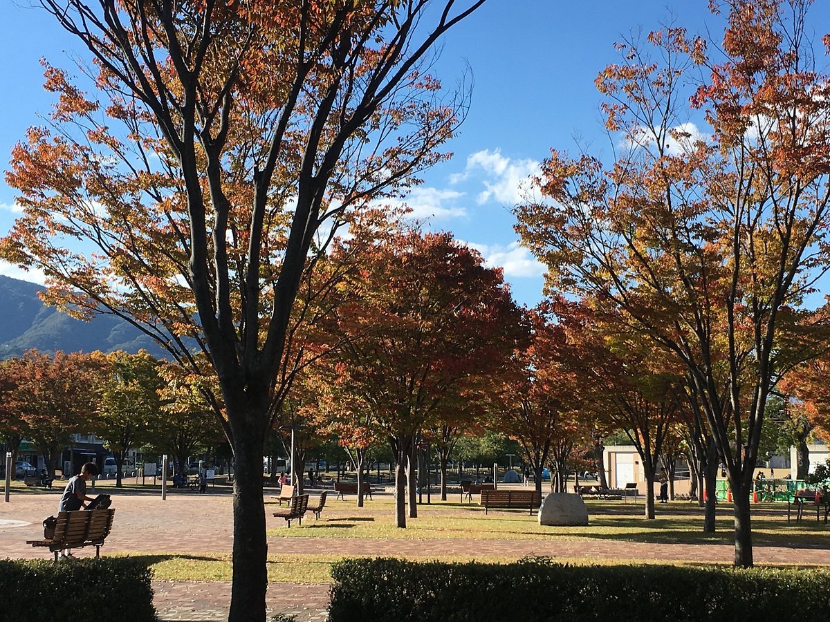🌳 스에히로 중앙공원 (末広中央公園) 이미지 7